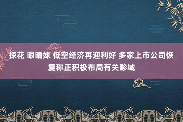 探花 眼睛妹 低空经济再迎利好 多家上市公司恢复称正积极布局有关畛域