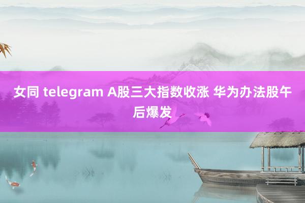 女同 telegram A股三大指数收涨 华为办法股午后爆发