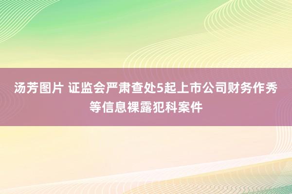 汤芳图片 证监会严肃查处5起上市公司财务作秀等信息裸露犯科案件