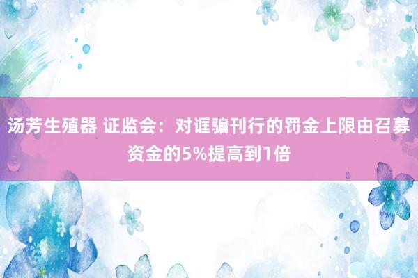 汤芳生殖器 证监会：对诓骗刊行的罚金上限由召募资金的5%提高到1倍