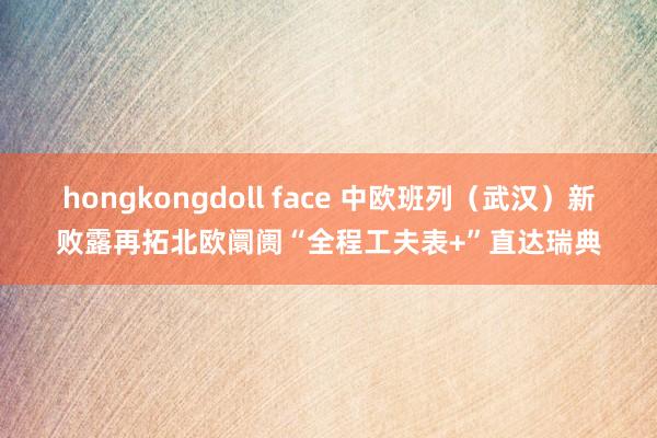 hongkongdoll face 中欧班列（武汉）新败露再拓北欧阛阓“全程工夫表+”直达瑞典