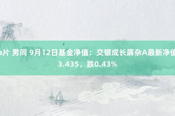 a片 男同 9月12日基金净值：交银成长羼杂A最新净值3.435，跌0.43%