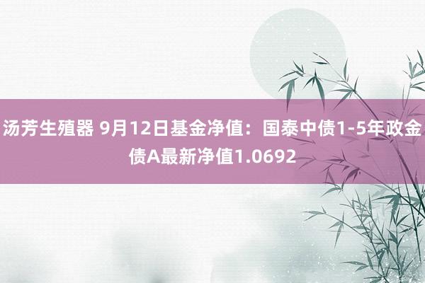 汤芳生殖器 9月12日基金净值：国泰中债1-5年政金债A最新净值1.0692