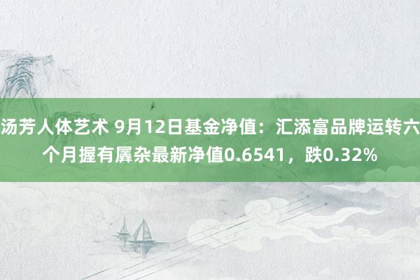 汤芳人体艺术 9月12日基金净值：汇添富品牌运转六个月握有羼杂最新净值0.6541，跌0.32%