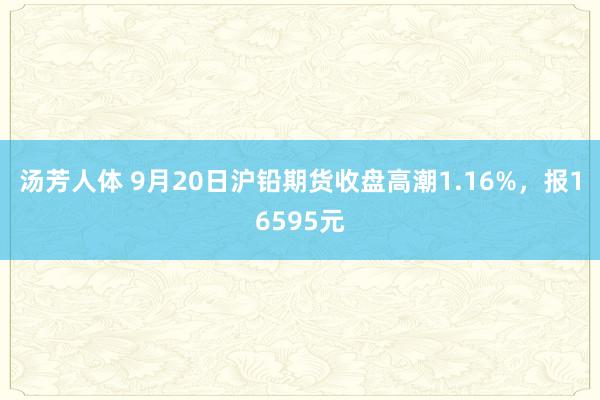 汤芳人体 9月20日沪铅期货收盘高潮1.16%，报16595元