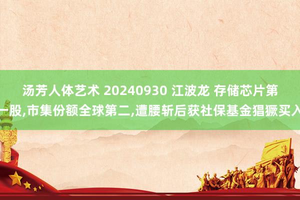 汤芳人体艺术 20240930 江波龙 存储芯片第一股，市集份额全球第二，遭腰斩后获社保基金猖獗买入