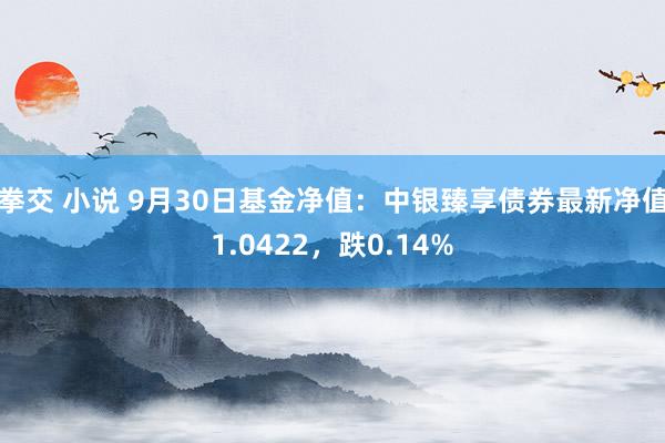 拳交 小说 9月30日基金净值：中银臻享债券最新净值1.0422，跌0.14%