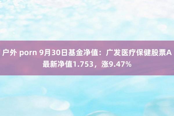 户外 porn 9月30日基金净值：广发医疗保健股票A最新净值1.753，涨9.47%