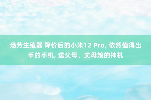 汤芳生殖器 降价后的小米12 Pro， 依然值得出手的手机， 送父母、丈母娘的神机