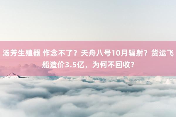 汤芳生殖器 作念不了？天舟八号10月辐射？货运飞船造价3.5亿，为何不回收？