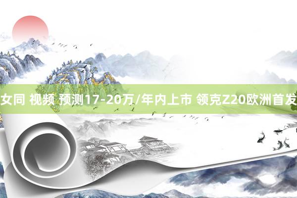 女同 视频 预测17-20万/年内上市 领克Z20欧洲首发