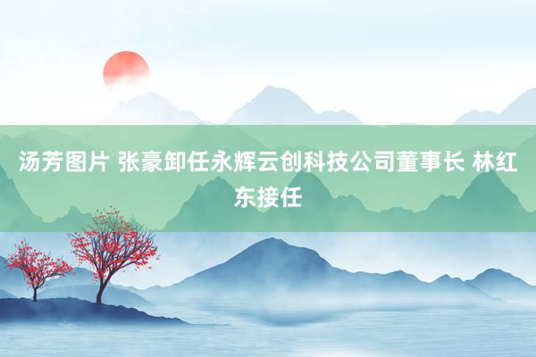 汤芳图片 张豪卸任永辉云创科技公司董事长 林红东接任