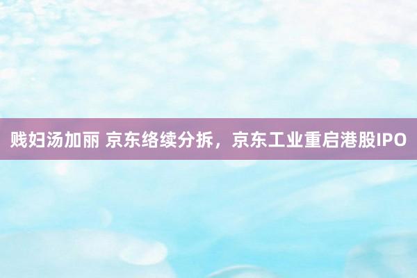 贱妇汤加丽 京东络续分拆，京东工业重启港股IPO