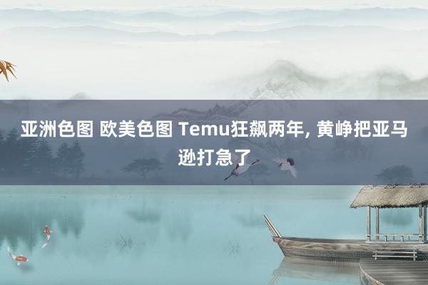 亚洲色图 欧美色图 Temu狂飙两年， 黄峥把亚马逊打急了