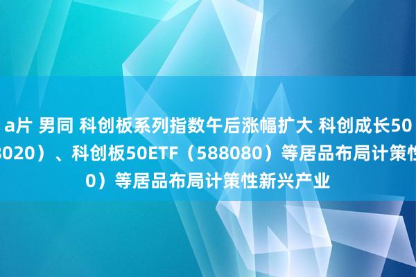 a片 男同 科创板系列指数午后涨幅扩大 科创成长50ETF（588020）、科创板50ETF（588080）等居品布局计策性新兴产业