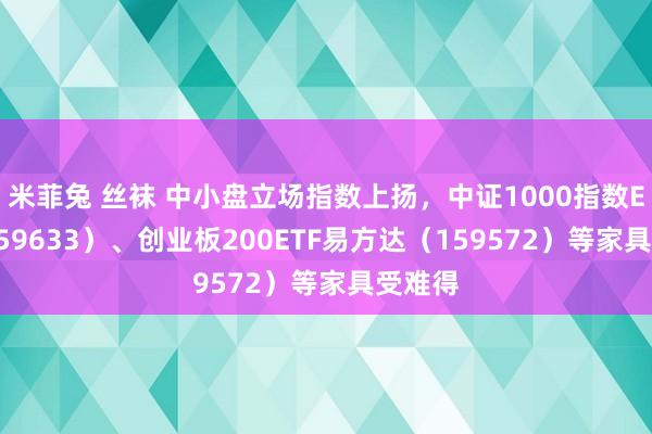 米菲兔 丝袜 中小盘立场指数上扬，中证1000指数ETF（159633）、创业板200ETF易方达（159572）等家具受难得