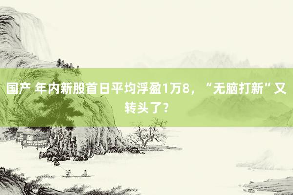 国产 年内新股首日平均浮盈1万8，“无脑打新”又转头了？