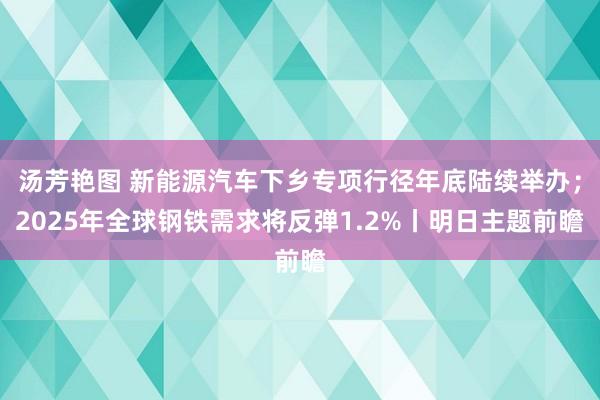 汤芳艳图 新能源汽车下乡专项行径年底陆续举办；2025年全球钢铁需求将反弹1.2%丨明日主题前瞻