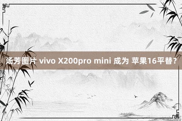 汤芳图片 vivo X200pro mini 成为 苹果16平替？