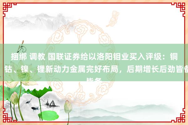 捆绑 调教 国联证券给以洛阳钼业买入评级：铜、钴、镍、锂新动力金属完好布局，后期增长后劲皆备