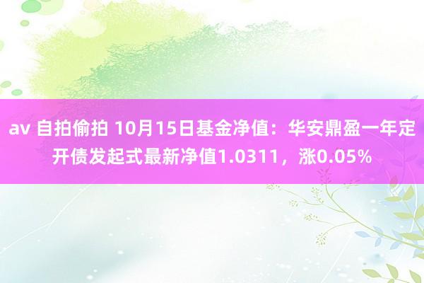 av 自拍偷拍 10月15日基金净值：华安鼎盈一年定开债发起式最新净值1.0311，涨0.05%