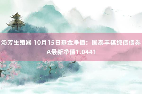 汤芳生殖器 10月15日基金净值：国泰丰祺纯债债券A最新净值1.0441