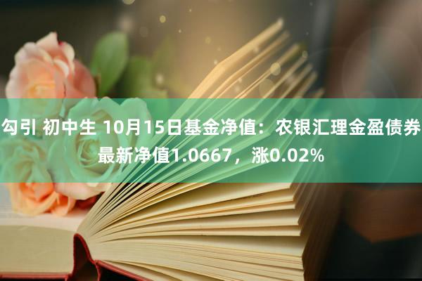 勾引 初中生 10月15日基金净值：农银汇理金盈债券最新净值1.0667，涨0.02%