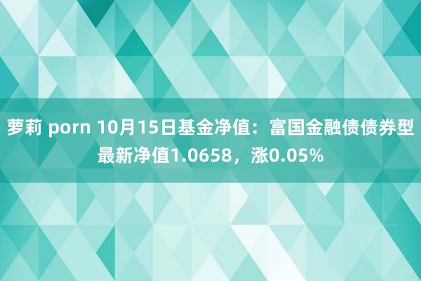 萝莉 porn 10月15日基金净值：富国金融债债券型最新净值1.0658，涨0.05%