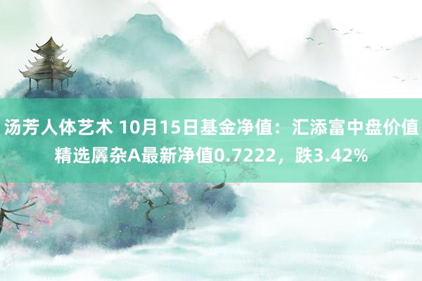 汤芳人体艺术 10月15日基金净值：汇添富中盘价值精选羼杂A最新净值0.7222，跌3.42%