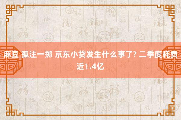 麻豆 孤注一掷 京东小贷发生什么事了? 二季度耗费近1.4亿