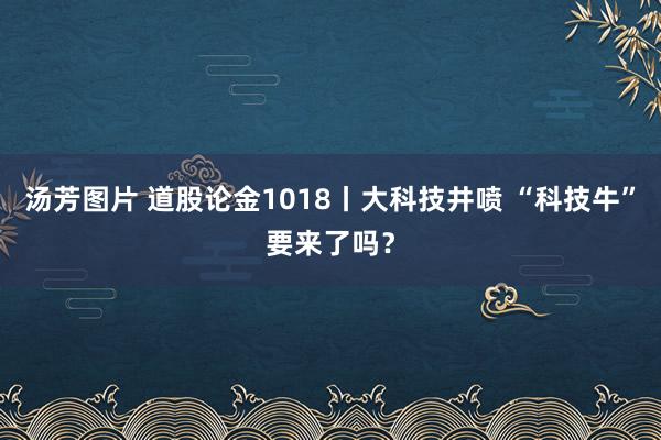 汤芳图片 道股论金1018丨大科技井喷 “科技牛”要来了吗？