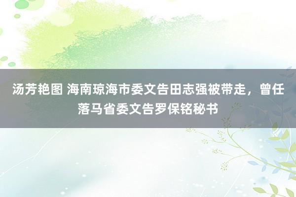 汤芳艳图 海南琼海市委文告田志强被带走，曾任落马省委文告罗保铭秘书