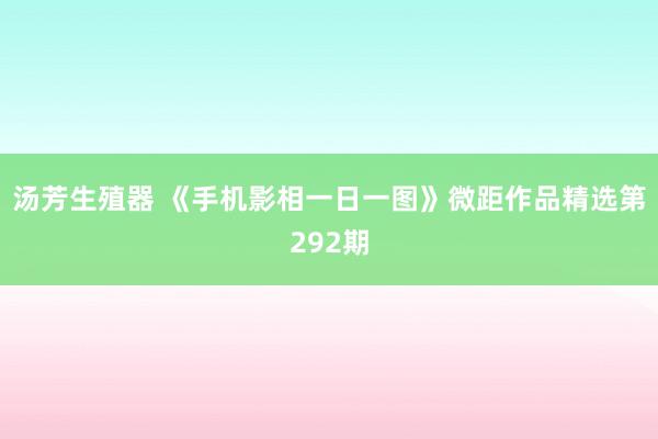 汤芳生殖器 《手机影相一日一图》微距作品精选第292期