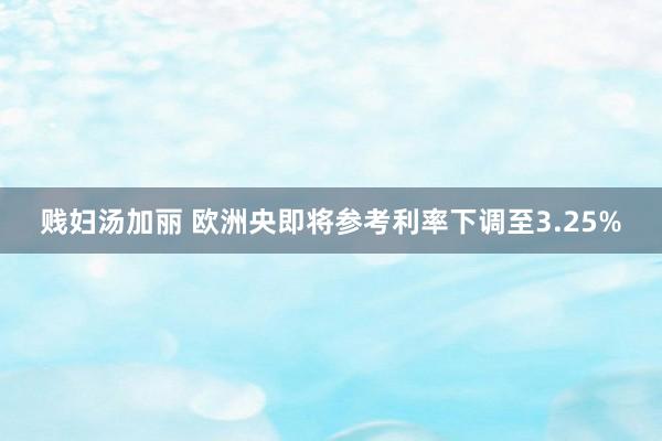 贱妇汤加丽 欧洲央即将参考利率下调至3.25%