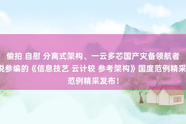 偷拍 自慰 分离式架构、一云多芯国产灾备领航者科力锐参编的《信息技艺 云计较 参考架构》国度范例精采发布！