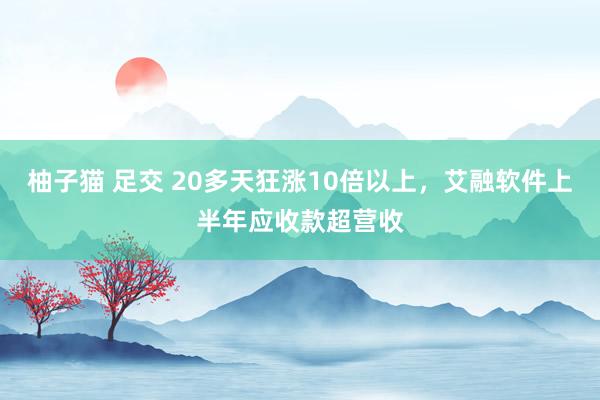 柚子猫 足交 20多天狂涨10倍以上，艾融软件上半年应收款超营收