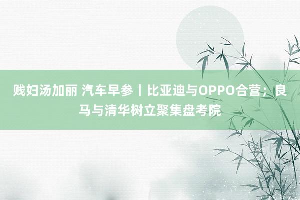 贱妇汤加丽 汽车早参丨比亚迪与OPPO合营；良马与清华树立聚集盘考院