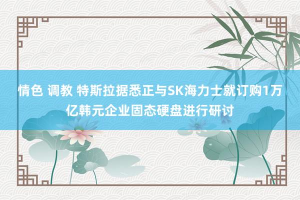 情色 调教 特斯拉据悉正与SK海力士就订购1万亿韩元企业固态硬盘进行研讨