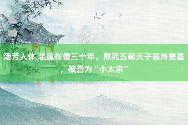 汤芳人体 装疯作傻三十年，熬死五朝天子最终登基，被誉为“小太宗”