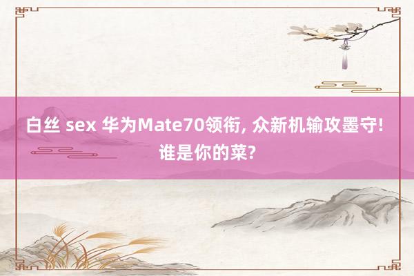 白丝 sex 华为Mate70领衔， 众新机输攻墨守! 谁是你的菜?