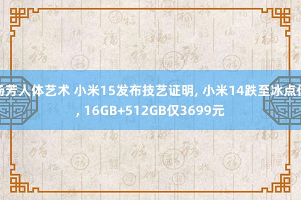 汤芳人体艺术 小米15发布技艺证明， 小米14跌至冰点价， 16GB+512GB仅3699元