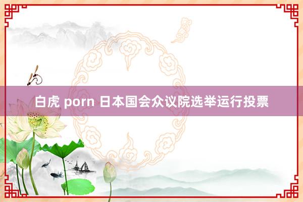 白虎 porn 日本国会众议院选举运行投票