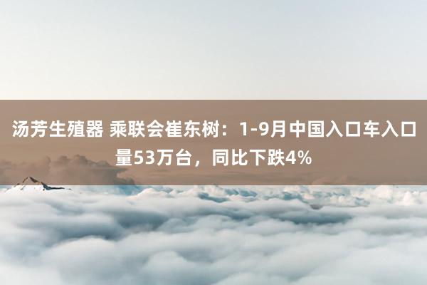 汤芳生殖器 乘联会崔东树：1-9月中国入口车入口量53万台，同比下跌4%