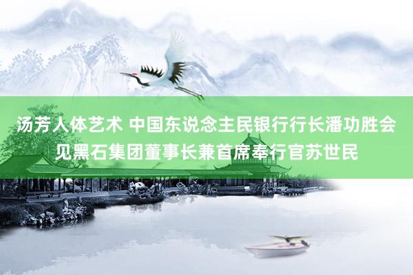 汤芳人体艺术 中国东说念主民银行行长潘功胜会见黑石集团董事长兼首席奉行官苏世民