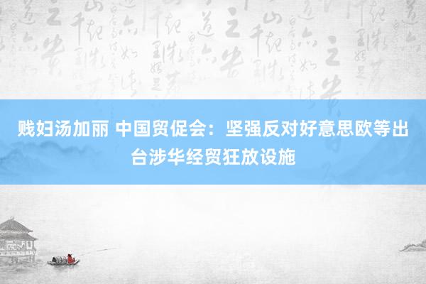 贱妇汤加丽 中国贸促会：坚强反对好意思欧等出台涉华经贸狂放设施