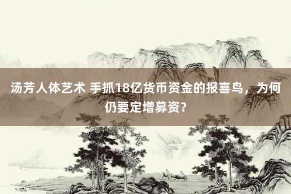 汤芳人体艺术 手抓18亿货币资金的报喜鸟，为何仍要定增募资？