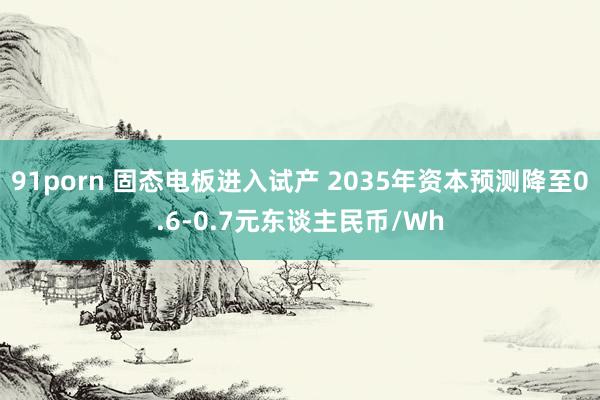 91porn 固态电板进入试产 2035年资本预测降至0.6-0.7元东谈主民币/Wh