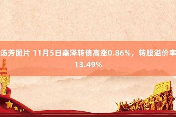 汤芳图片 11月5日嘉泽转债高涨0.86%，转股溢价率13.49%