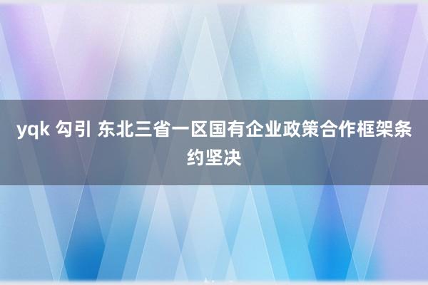 yqk 勾引 东北三省一区国有企业政策合作框架条约坚决