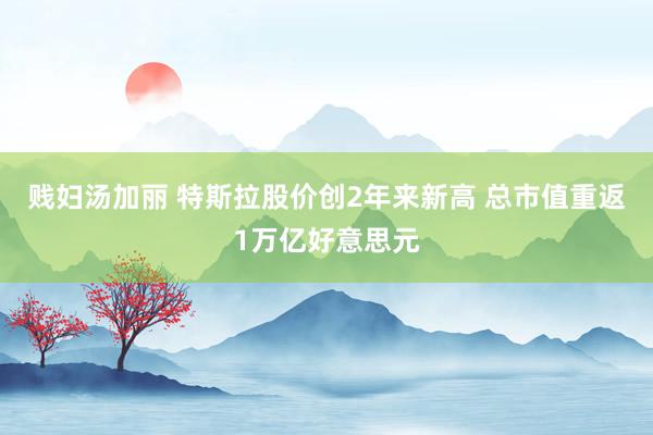 贱妇汤加丽 特斯拉股价创2年来新高 总市值重返1万亿好意思元